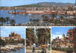 72297940 Palma De Mallorca Hafen Park Promenade Kirche Palma - Autres & Non Classés