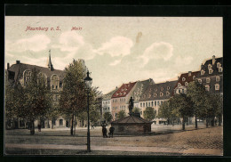 AK Naumburg A. S., Markt  - Naumburg (Saale)