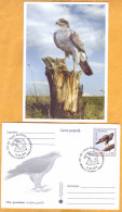 2016  Moldova FDC Fauna, Birds Of Prey, Of Prey, Eagles - Aquile & Rapaci Diurni