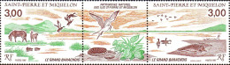 SPM Poste N** Yv: 485A Mi:554Zf Le Grand Barachois - Unused Stamps
