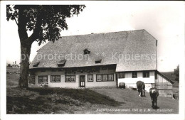 71867889 Kandel Waldkirch Breisgau Kandelhof Pferde Kandel - Autres & Non Classés