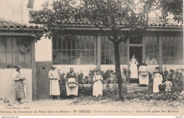 31) CAZERES SUR GARONNE - FABRIQUE DE CONSERVES DE FOIES GRAS ET GIBIERS - F. SEGU - VUE D'UNE PARTIE DES ATELIERS  - Other & Unclassified