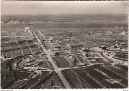 A2- 17) LA TREMBLADE (CHARENTE MARITIME)  VUE AERIENNE DES PARCS A HUITRES   - (2 SCANS) - La Tremblade