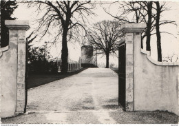 47) SAINTE COLOMBE EN BRUILHOIS (COQUILLE SAINTE COLOMBE EN BRUCILHOIS) ENTREE D'UNE DEMEURE - (2 SCANS) - Autres & Non Classés