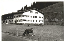 71867772 Oberstaufen Landwirtschaft Bauernhof Kuehe Oberstaufen - Oberstaufen