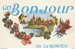 C16-32) LA ROMIEU - UN BONJOUR DE LA ROMIEU - ( FLEURS ET PAYSAGE - 2 SCANS ) - Other & Unclassified