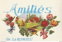 C16-32) LA ROMIEU - AMITIES DE LA ROMIEU - ( FLEURS ET PAYSAGE - 2 SCANS )   - Other & Unclassified