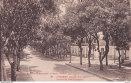 C11- CONAKRY (GUINEE FRANCAISE) AVENUE DU GOUVERNEMENT - ( EDIT. A. JAMES - 2 SCANS ) - French Guinea