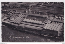 C7-19) BORT LES ORGUES (CORREZE) LES TANNERIES - LE 3/3/ 1955 - EDIT. SULLY , BORT - ( 2 SCANS ) - Other & Unclassified