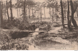 C18-33) ANDERNOS LES BAINS (GIRONDE) LE BETEY - LA FORET - ( PETITE ANIMATION - 2 SCANS ) - Andernos-les-Bains