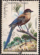 Espagne Poste Obl Yv:1790 Mi:2031 Ed:2136 Rabilargo Cyanopica Cyanus (Beau Cachet Rond) - Used Stamps