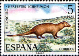Espagne Poste N** Yv:1759 Mi:2000 Ed:2105 Meloncillo Herpestes Ichneumon (Petit Def.gomme) - Unused Stamps