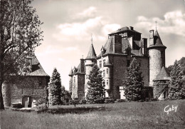 15 POLMINHAC CHÂTEAU DES PESTEILS - Other & Unclassified