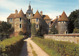 89 TREIGNY RATILLY LE CHÂTEAU FORT - Treigny