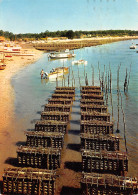 33 BASSIN D ARCACHON COLLECTEURS D HUITRES - Arcachon