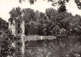 60 COYE LA FORET CHÂTEAU DE LA REINE BLANCHE - Autres & Non Classés