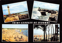 17 SAINT GEORGES DE DIDONNE - Saint-Georges-de-Didonne