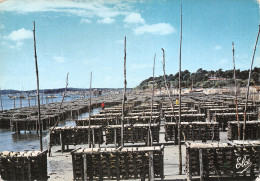 33 ARCACHON BASSIN TRAVAUX OSTREICOLES - Arcachon