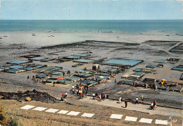 35 CANCALE LES PARCS A HUITRES - Cancale