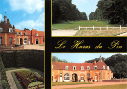 61 LE HARAS DU PINS EXMES - Other & Unclassified