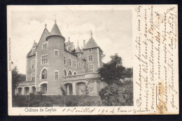 82 CAYLUS - Le Chateau - Caylus