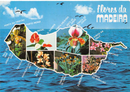 PORTUGALL MADEIRA - Madeira