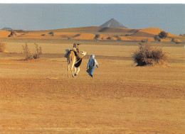 ALGERIE SAHARA - Andere & Zonder Classificatie