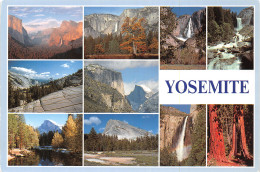 USA CA YOSEMITE - Autres & Non Classés