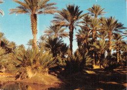 ALGERIE BECHAR - Bechar (Colomb Béchar)