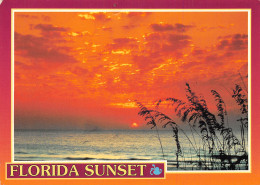 USA FL SUNSET - Altri & Non Classificati