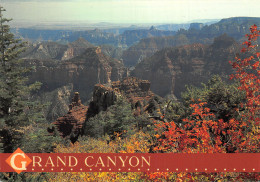 USA ARIZONA GRAND CANYON - Gran Cañon