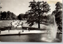 1000 BERLIN - FRIEDRICHSFELDE, Tierpark / Zoo, Südparterre Mit Springbrunnen - Hohenschoenhausen