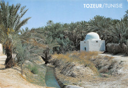 TUNISIE TOZEUR - Tunesien