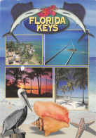 USA FL KEYS - Other & Unclassified