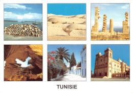 TUNISIE - Tunisia