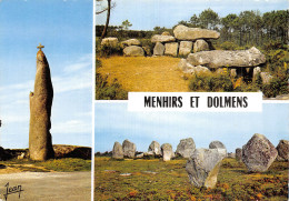 22 DOLMENS ET MENHIRS - Other & Unclassified