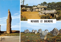 29 DOLMENS ET MENHIRS - Other & Unclassified