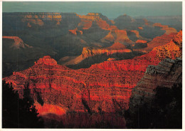 USA AZ GRAND CANYON - Gran Cañon