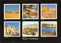 TUNISIE LE SUD - Tunesien