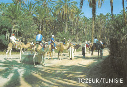 TUNISIE TOZEUR - Tunisie