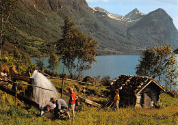 NORGE OLDEN - Norvège