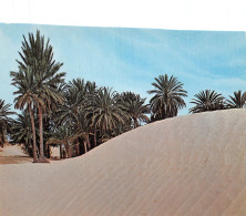 TUNISIE SAHARA - Tunisie