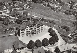 SUISSE COLOMBIER - Sonstige & Ohne Zuordnung