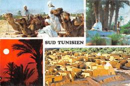 TUNISIE LE SUD - Tunisia