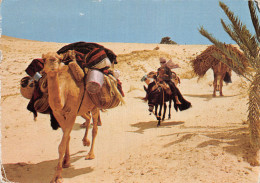 TUNISIE NOMADES - Tunisie