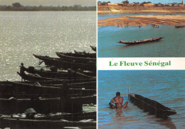 SENEGAL LE FLEUVE - Sénégal