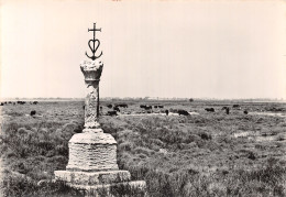 13 CAMARGUE CROIX DE GARDIAN - Autres & Non Classés