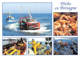 29 BRETAGNE LANGOUSTINES  - Other & Unclassified