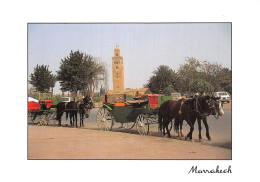 MAROC MARRAKECH - Marrakesh