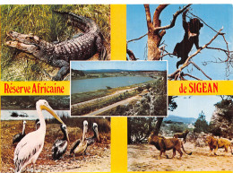 11 SIGEAN RESERVE AFRICAINE - Sigean